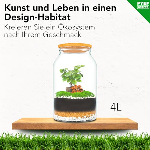PYEF CRAFTS Bottle Garden Complete Set XL for Ecosystem in Glass - 4L Terrarium Plants for Biotope in Glass - Biosphere Terrarium Set - Kit Without Plant (Bottle Garden Large 4L)
