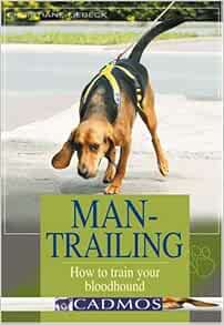 trained tracking bloodhounds for sale