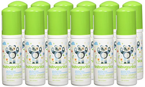Babyganics Foaming Pump Hand Sanitizer, Alcohol Free, Travel Size, Fragrance Free, Kills 99.9% of Common Bacteria, Moisturizing, 1.69oz (Pack of 6)