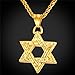 U7 Vintage Jewish Jewelry 18K Gold Plated Spiga Rope Chain with Retro Vintage Ethnic Symbol Star of David Pendant Necklace for Men Women