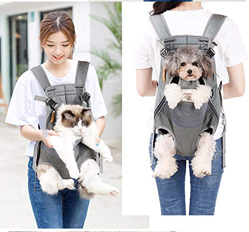 forward facing dog carrier