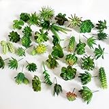 Dutch Brook 5Pcs Different Succulents Artificial Cactus Plants for Office Home Garden Decor (Sent Randomly)