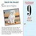 A Year of Cat Trivia Page-A-Day Calendar 2020