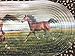 Western Running Horses Braided Rug Runner, Spot Clean, Polyester