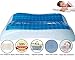 FOMI Premium Gel Cooling Sleeping Pillow | Shredded Memory Foam | Adjustable and Supportive Pillow for Preferred Firmness | Orthopedic Comfort Design for Neck Pain Relief | (22” x 16”) (Standard)