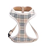 Dog Harnesses for Small Dogs,Super Soft & Comfortable Dog Harness,Easy To Adjust Harness for Small Dogs,Padded Mesh Material for Breathability and Secure Fit,Lightweight Shoulder And Chest Vest Ideal