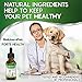 Natural ANTIBIOTICS for Dogs / ANTIBIOTICS Alternative for Pets/ Kennel Cough Medicine for Dogs / UTI Treatment / ANTIBIOTICS for Cats