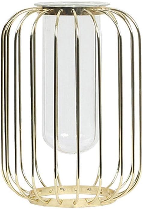 RXM Metal Vase Nordic Light Glass Hydroponic Plant Container Decoration Home Decorations Desktop Craft Iron Vase (Color : Golden, Size : S)