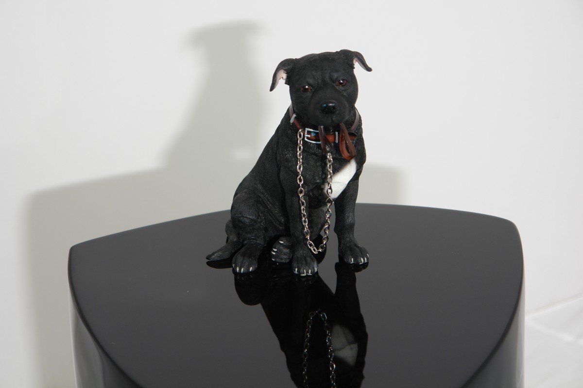 View 5