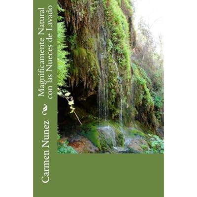 Magnificamente Natural con las Nueces de Lavado: Instrucciones de uso y recetas caseras Magnificamente Natural con las Nueces de Lavado: Instrucciones de uso y recetas caseras
