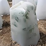 Grow It Now! - Plant Protectors/Frost Guards with Closable Vent, Pack of 3 (Anchor pins not included) (Small)