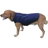 petcee dog jacket