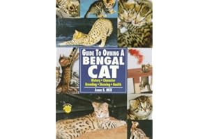 Guide to Owning a Bengal Cat