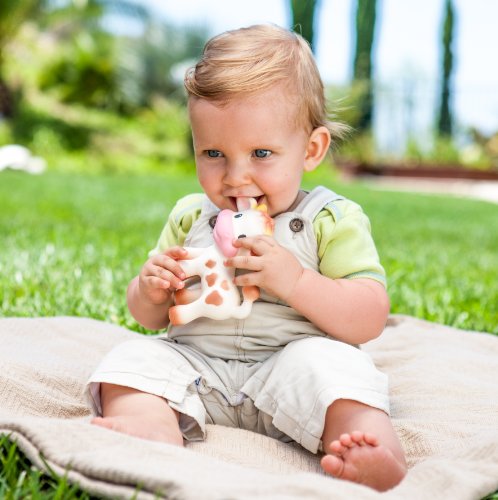 infantino cow teether