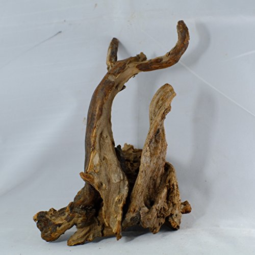 3 PCS of Medium Aquarium Driftwood (10" 12"),aquarium driftwood