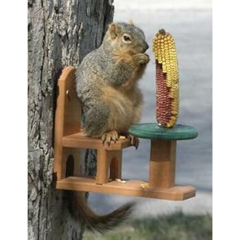 Amazon Com Songbird Essentials Recycled Poly Squirrel Feeder