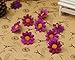 100Pcs Artificial Flowers Wholesale Fake Flowers Heads Gerbera Daisy Silk Flower Heads Sunflowers Sun Flower Heads for Wedding Party Flowers Decorations Home D¨¦cor Dark Purple