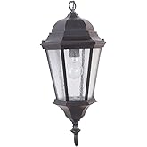 Chadwick Medium Pendant Oiled Bronze Gilded