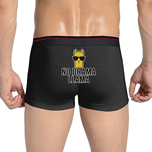Curry J Yasha No Drama Llama Men's Custom Underwear Boxer Briefs