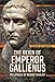 The Reign of Emperor Gallienus: The Apogee of Roman Cavalry by