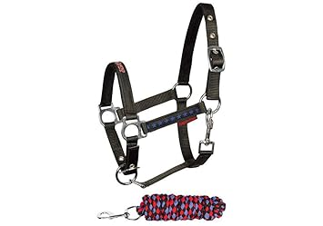 Harry's Horse Halfter-Set Stout! Führstrick mit Karabiner. Black weich gepolstert Stern- Prints+-Stickerei (Minishetty)