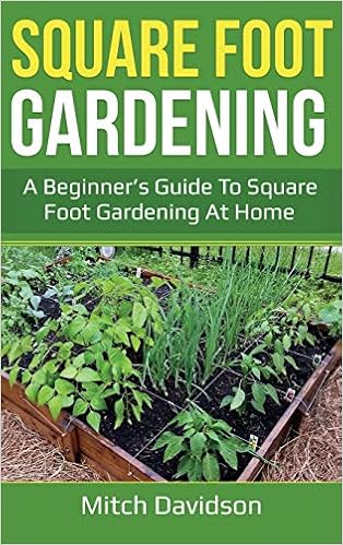 Square Foot Gardening A Beginner S Guide To Square Foot Gardening At Home Amazon Co Uk Davidson Mitch 9781761036729 Books