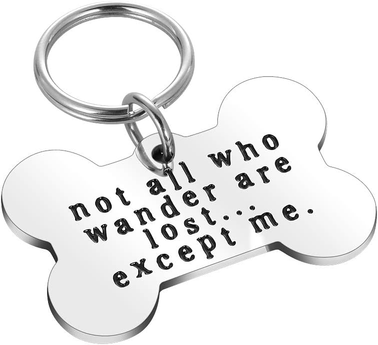 Funny Pet ID Tags for Dogs Collar for Kitten New Puppy Stainless Steel Not All Who Wander are Lost Except Me Cat Charm Christmas Gift Identification Charm : Pet Supplies
