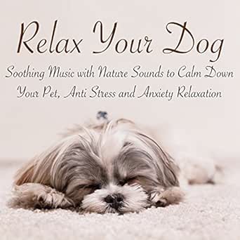 sounds to calm a dog down