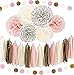 Ella Mint 20PCS Tissue Decoration Kit | Pretty Party Supplies: Pom Flowers, Garland & Tassels | Pastel Pink, Cream & Gold Polka Dot | Perfect poms for baby shower or girls first birthday!