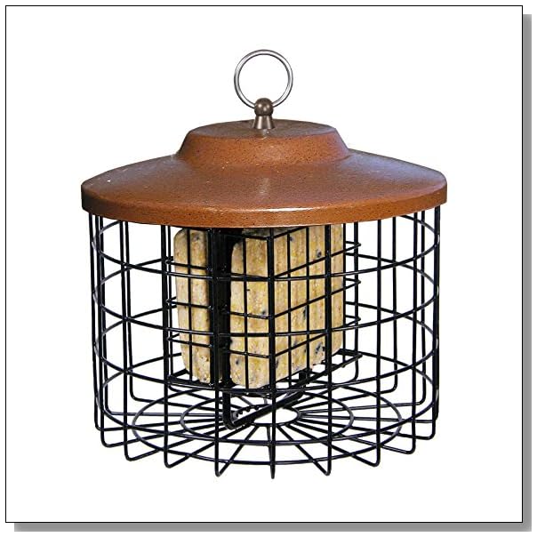 Keep Squirrels Out Suet Feeders BLUE CRYSTAL SKY