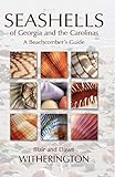 Seashells of Georgia and the Carolinas by Blair Witherington, Dawn Witherington