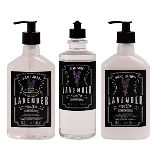 Liquid Soap and Lotion Kitchen Caddy Tri Coastal Design Silver Wire