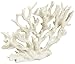 Deep Blue Professional ADB80080 Gorgonian Coral for Aquarium, 7 by 2.5 by 5-Inch