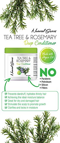 Growth KitLarge Size ! Detox Shampoo 8oz - Tea Tree Rosemary Deep Conditioner 16 oz , 4 oz Elixir! (Mini Growth Kit)