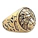 HAMANY Jewelry Men's Stainless Steel Ring Lion Head Shield Biker Vintage,Gold,Size 10
