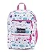 JanSport Unisex Big Student Ombre Dot One Size