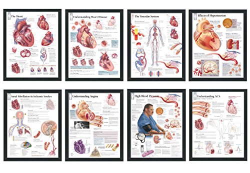 Set of 8 Framed Medical Posters The Heart; Heart Disease; Angina;
Vascular; Atrial Fibrillation; Hypertension; High Blood Pressure; ACS
22”x28” Wall Diagrams Educational Doctors Office Charts