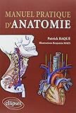 Manuel pratique d'anatomie by 