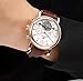 GLEIM Womens Wrist Watch, Classic Srystal Dial Auto-Winding Lady Dress Watch (Brown)