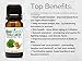 Biofinest Fenugreek Essential Oil - 100% Pure Undiluted, Premium Organic Therapeutic Grade - Best for Aromatherapy, Skin & Hair Care, Ease Inflammation Fatigue Fever Sore Throat - FREE E-Book (10ml)