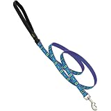 LupinePet Go Go Go Gecko Hundeleine – 2,5 Cm Breit, Ca. 63,5 Cm Lang – Für Mittelgroße & Große Hunde – Gepolsterter Griff