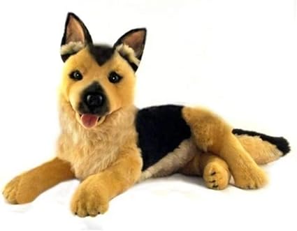 alsatian teddy