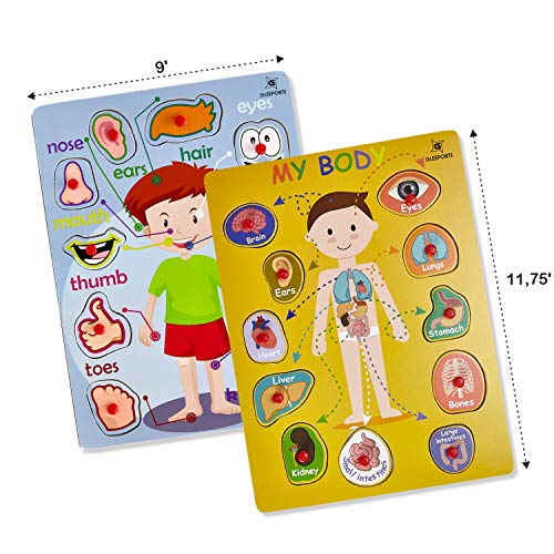 6 Wooden+Peg+Puzzle+Body+Educational