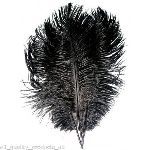 20 Black Large Ostrich Feathers 2230 inches long approximately Amazon