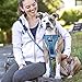 Kurgo Tru-Fit Smart Dog Walking Harness - Comfortable Fit - Adjustable Harness - Reflective Pet Wear - Quick Strap Release - Daily Walk Accessory - Includes Seat Belt Loop - Blue - Small