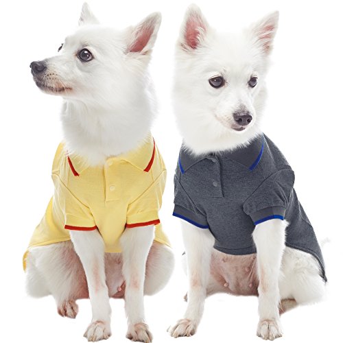 Blueberry Pet Pack of 2 Back to Basic Cotton Blend Dog Polo Shirts in Yellow and Smart Grey, Back Length 10", Clothes for Dogs