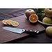 WALLOP Santoku Knife - Japanese AUS-10 Core 67 Layers Damascus High Carbon Stainless Steel Kitchen Knife with Amazing Wave Blade Pattern & Non-slip Ergonomic Reddish Black G10 Handle with Sheath -7''