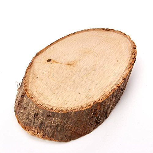 Factory Direct Craft Set of 2 Oval Natural Wood Tree Slices for Creating Displays, Making Plaques and Crafting