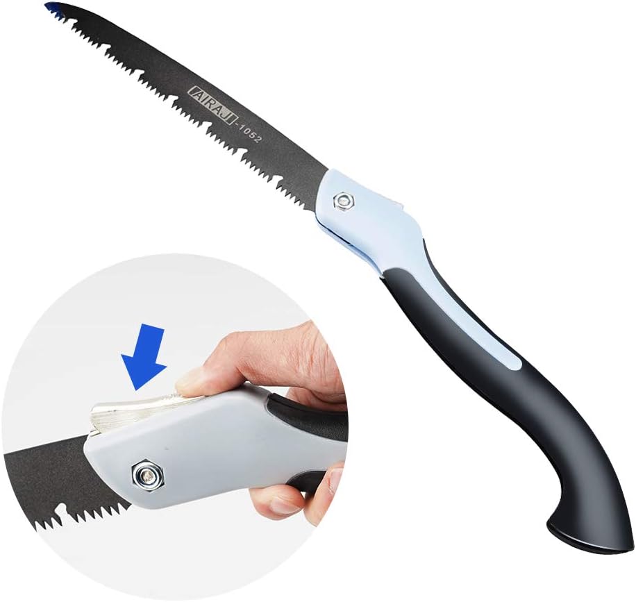 sega palmetto per donne collagene