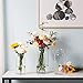 CASAMOTION Glass Vase for Flowers Hand Blown Glass Centerpiece Wedding Table Dining Room Living Kitchen Island Modern Farmhouse Home Decor Clear Cylinder 8” 10” 12” Inch Set of 3